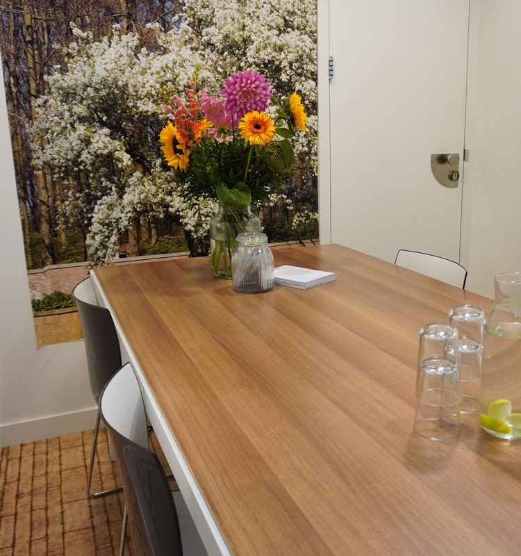 vergaderenindestad.nl-De Steile Tuin 1